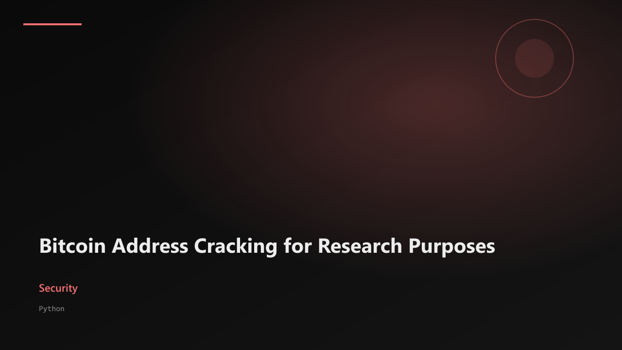 Bitcoin Address Cracking for Research Purposes